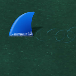 Image of the Wireshark logo swimming through Factorio's waters